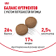 Royal Canin Maxi Adult 5+ сухой корм для собак крупных пород от 5 лет