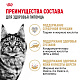 Royal Canin Maine Coon Adult влажный корм для кошек мейн-кун, соус