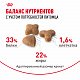 Royal Canin Sensible 33 сухой корм для кошек с чувствительным пищеварением