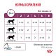 Royal Canin Renal Роял Канин влажный корм для кошек при почечной недостаточности с говядиной, соус