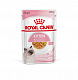 Royal Canin Kitten влажный корм для котят до 12 месяцев, желе