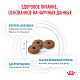 Royal Canin Skin & Coat сухой корм для взрослых кошек с чувствительной кожей