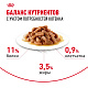 Royal Canin Kitten Sterilised влажный корм для стерилизованных котят, соус