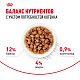 Royal Canin Kitten влажный корм для котят до 12 месяцев, соус