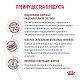 Royal Canin Gastrointestinal Hairball сухой корм для кошек при нарушениях пищеварения, вызванного наличием волосяных комочков