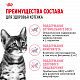 Royal Canin Kitten Sterilised сухой корм для стерилизованных котят до 12 месяцев