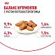 Royal Canin Maine Coon Adult влажный корм для кошек мейн-кун, соус