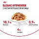Royal Canin Hair & Skin Care влажный корм для взрослых кошек для здоровья кожи и красоты шерсти, желе