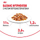 Royal Canin Kitten влажный корм для котят до 12 месяцев, желе