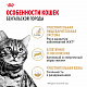 Royal Canin Bengal Adult сухой корм для бенгальских кошек