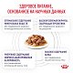 Royal Canin Neutered Maintenance Роял Канин влажный корм для стерилизованных кошек, соус