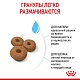 Royal Canin Maxi Starter сухой корм для щенков крупных пород до 2мес.