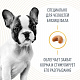 Royal Canin French Bulldog Puppy сухой корм для щенков породы французский бульдог