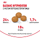Royal Canin X-Small Adult сухой корм для собак мини пород