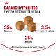 Royal Canin Sphynx Kitten сухой корм для котят породы сфинкс