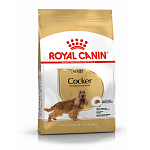 Royal Canin Cocker Adult сухой корм для взрослых собак породы кокер-спаниель