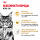 Royal Canin Maine Coon Adult сухой корм для кошек породы мейн-кун