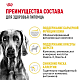 Royal Canin Maxi Dermacomfort сухой корм для собак крупных пород с чувствительной кожей