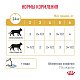 Royal Canin Urinary S/O Moderate Calorie Роял Канин влажный корм для кошек при МКБ, соус