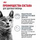 Royal Canin Dental Care сухой корм для взрослых кошек для профилактики образования зубного налета и зубного камня