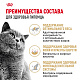 Royal Canin British Shorthair Adult влажный корм для взрослых британских короткошерстных кошек, соус