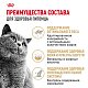 Royal Canin British Shorthair Adult влажный корм для взрослых британских короткошерстных кошек, соус