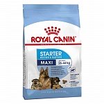 Royal Canin Maxi starter корм для щенков до 2-х месяцев, беременных и кормящих сук