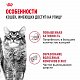 Royal Canin Fit 32 сухой корм для умеренно активных кошек 