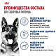 Royal Canin Maxi Ageing 8+ сухой корм для собак крупных пород от 8 лет