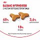 Royal Canin Bengal Adult сухой корм для бенгальских кошек