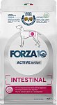 Forza10 Intestinal Active сухой корм для собак при заболеваниях ЖКТ