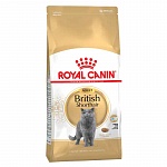 Royal Canin British Shorthair корм для взрослых кошек Британской породы