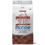 Monge Dog Speciality Line Monoprotein сухой корм для щенков мелких пород Ягненок и рис