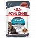 Royal Canin Urinary Care влажный корм для взрослых кошек для поддержания здоровья мочевыделительной системы, соус