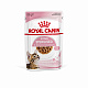 Royal Canin Kitten Sterilised влажный корм для стерилизованных котят, соус