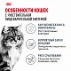 Royal Canin Digestive Care сухой корм для взрослых кошек с чувствительным пищеварением