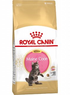 Royal Canin Kitten Maine Coon для котят породы Мейн-Кун
