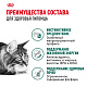 Royal Canin Instinctive 7+ влажный корм для взрослых кошек старше 7 лет, соус